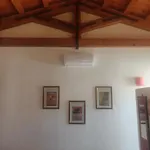 Antichi Ricordi